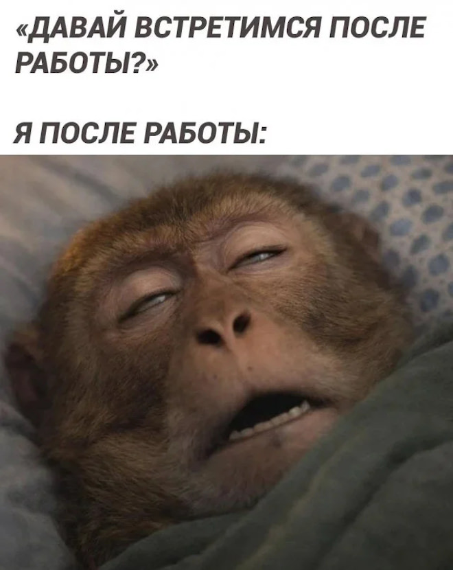 ������ ������� � ���� �� ���� (35 ����)