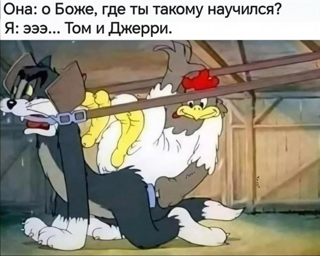 ������ ������� � ���� �� ���� (35 ����)