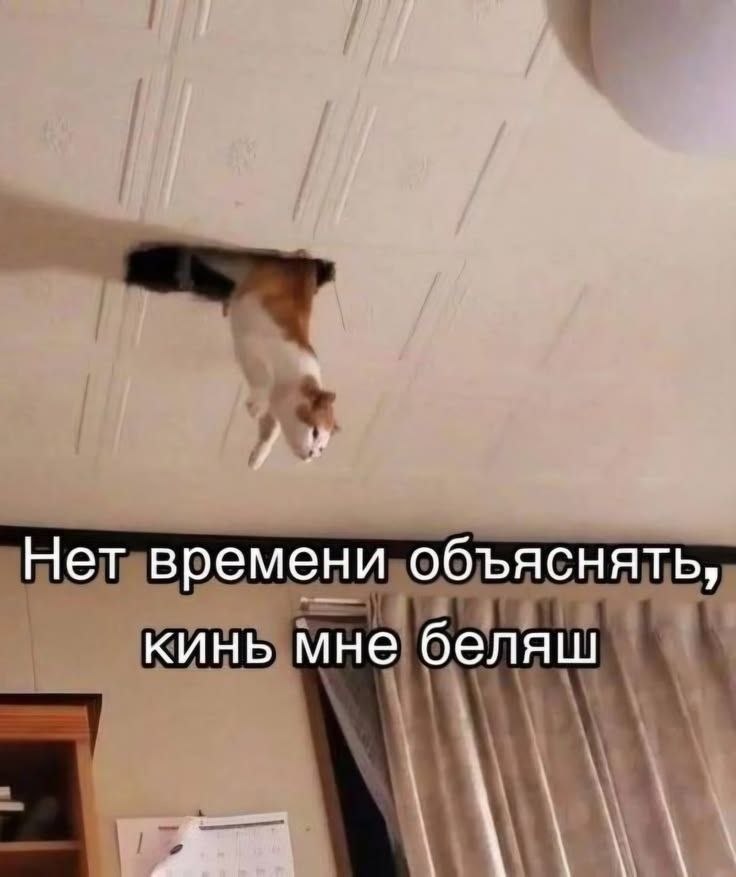 ������ ������� � ���� �� ���� (35 ����)