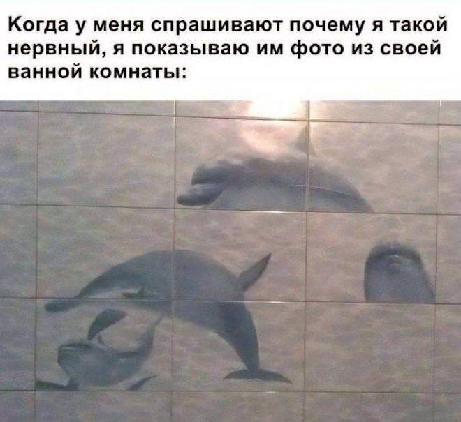 ������ ������� � ���� �� ���� (35 ����)