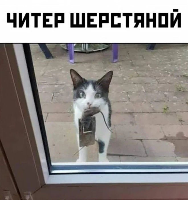 ������ ������� � ���� �� ���� (35 ����)