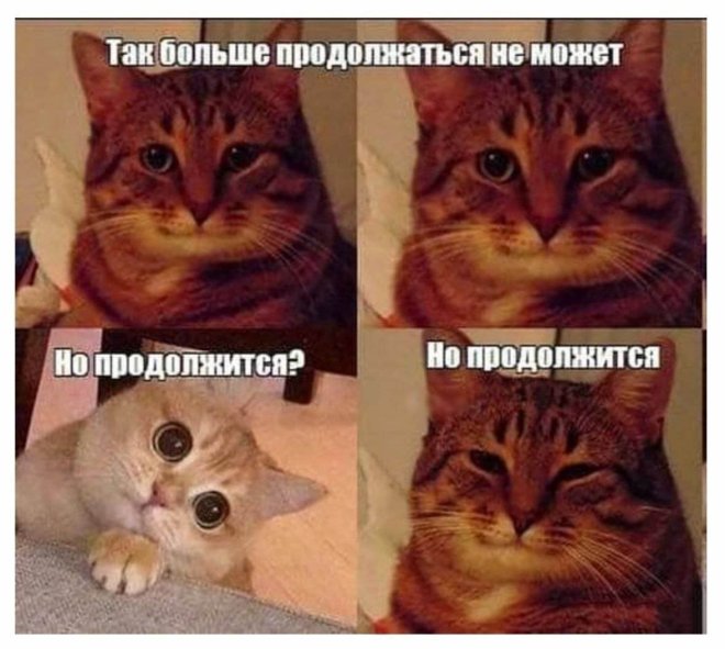 ������ ������� � ���� �� ���� (35 ����)