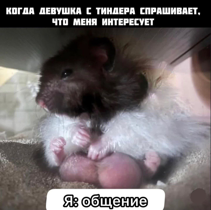 ������ ������� � ���� �� ���� (35 ����)