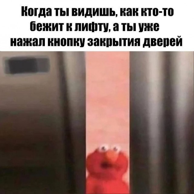 ������ ������� � ���� �� ���� (35 ����)