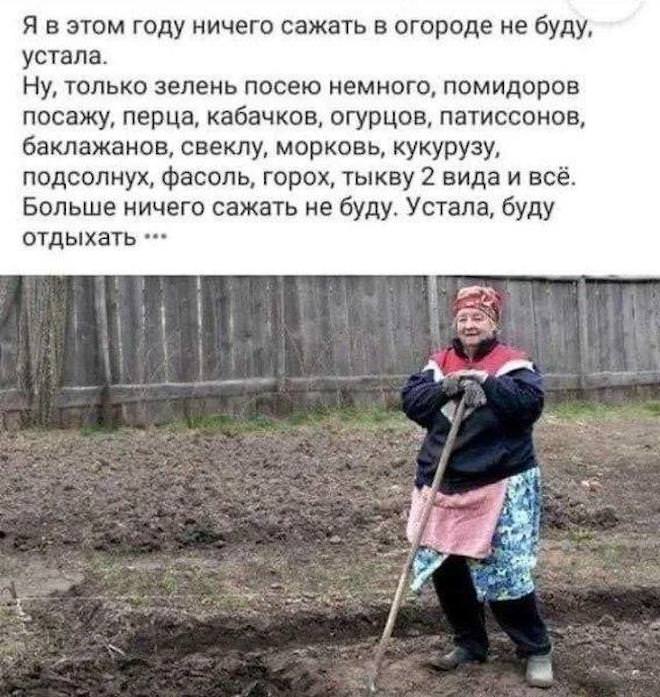 ������ ������� � ���� �� ���� (35 ����)