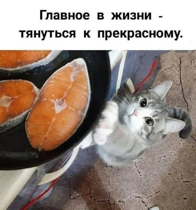 ��������� ������� � ���� ��� ��������� ���������� (30 ����)
