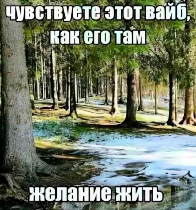 ��������� ������� � ���� ��� ��������� ���������� (30 ����)