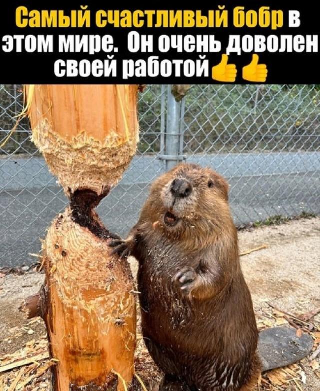 ��������� ������� � ���� ��� ��������� ���������� (30 ����)