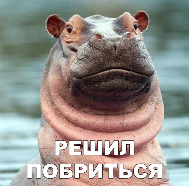 ��������� ������� � ���� ��� ��������� ���������� (30 ����)