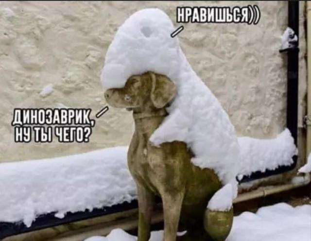 ��������� ������� � ���� ��� ��������� ���������� (30 ����)