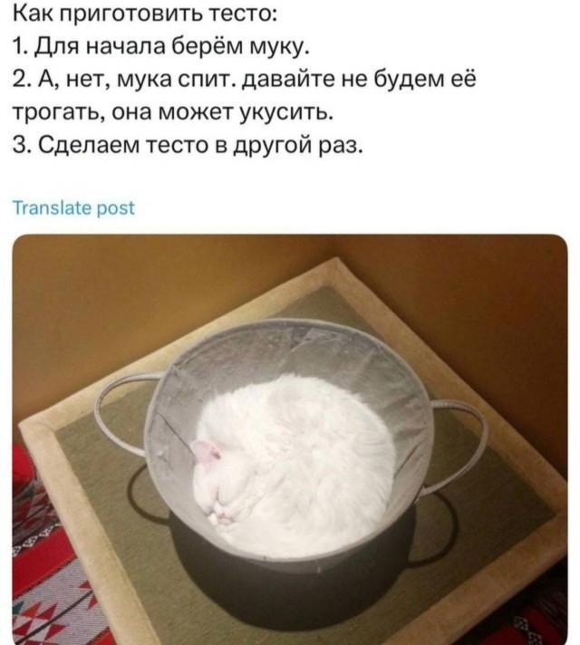 ��������� ������� � ���� ��� ��������� ���������� (30 ����)
