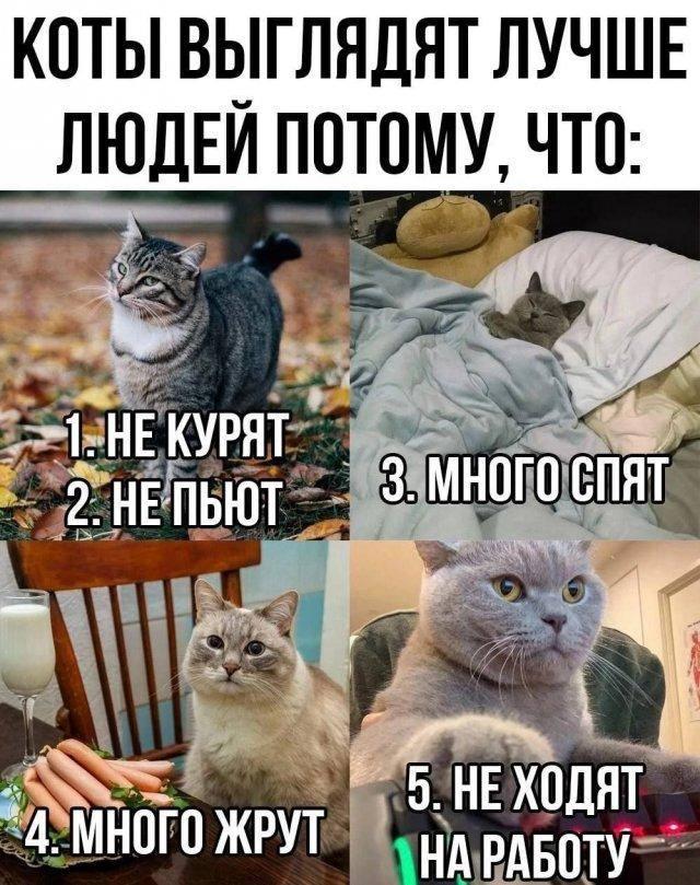 ��������� ������� � ���� ��� ��������� ���������� (30 ����)