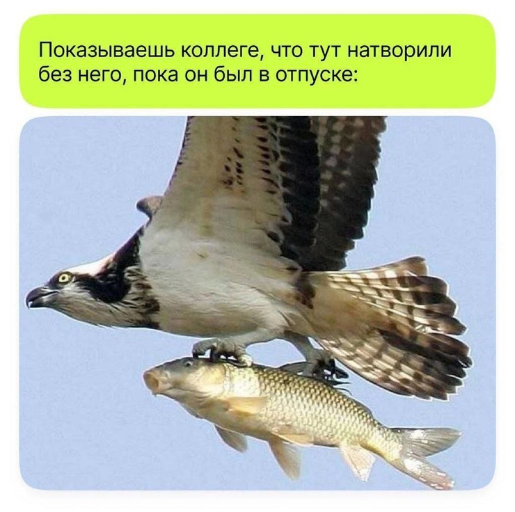 �������� �������� � ����� (25 ����)