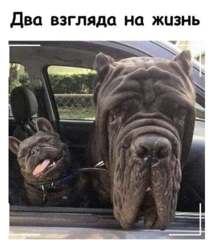 �������� �������� � ����� (25 ����)