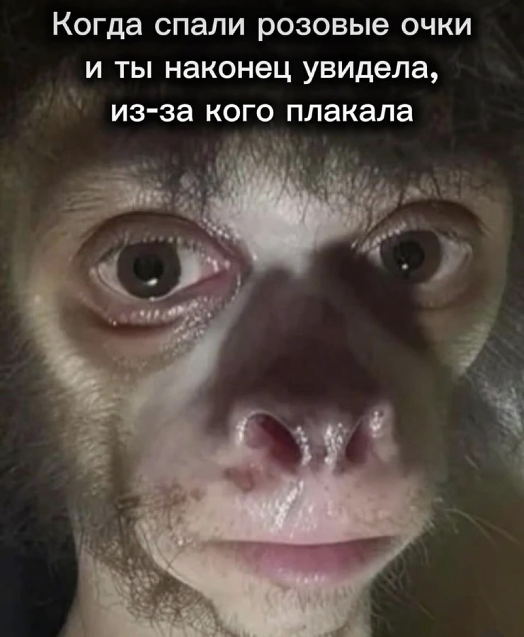 �������� �������� � ����� (25 ����)