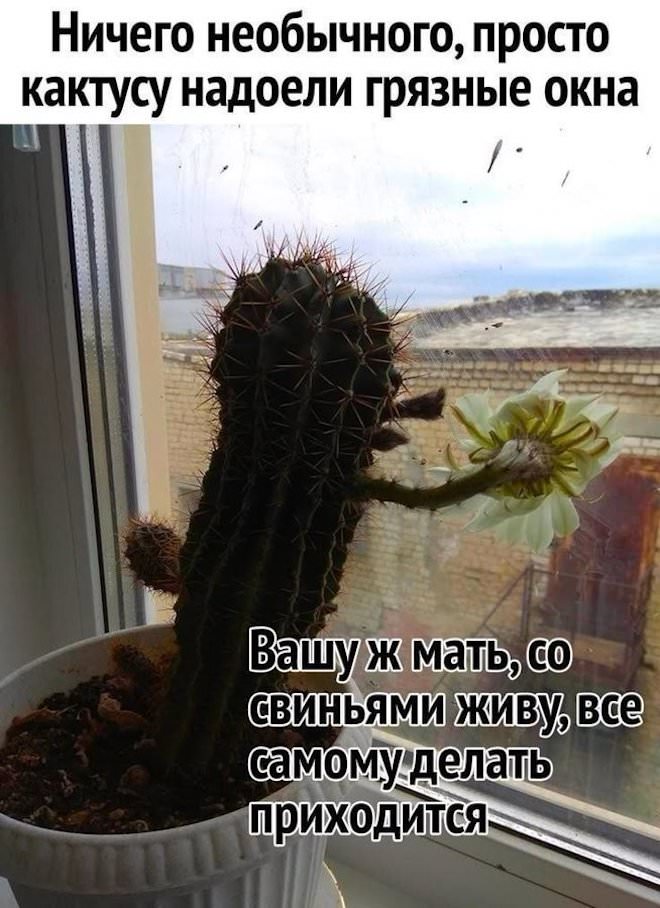 ���� � ������� �� ���� (30 ����)