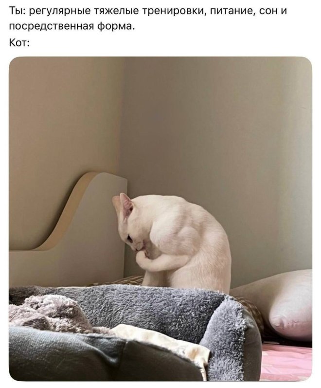 ���� � ������� �� ���� (30 ����)