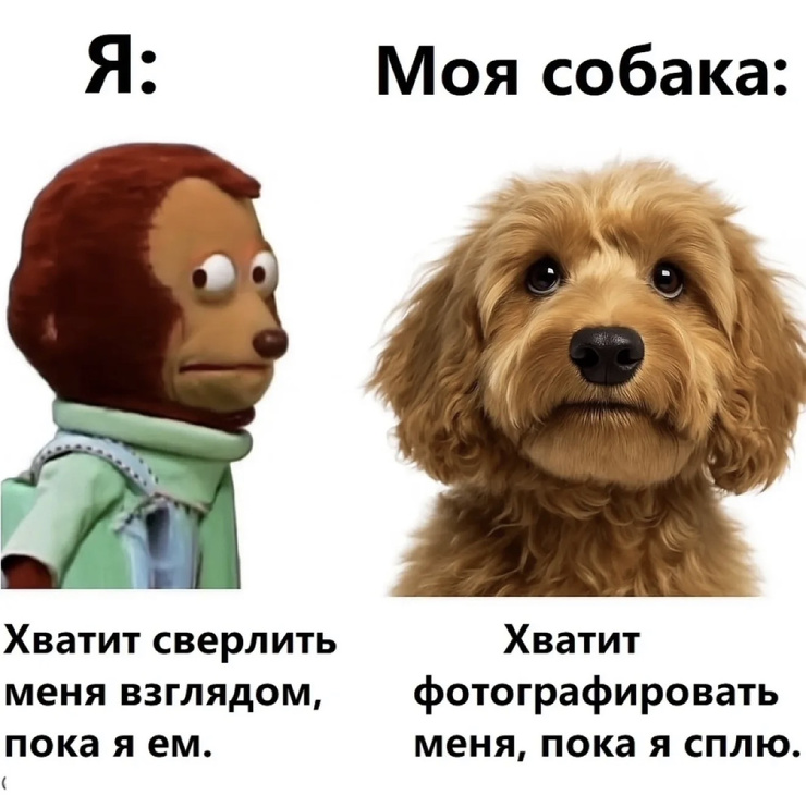 ���� � ������� �� ���� (30 ����)