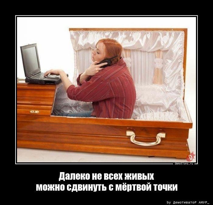 ������������ �������� (20 ����)