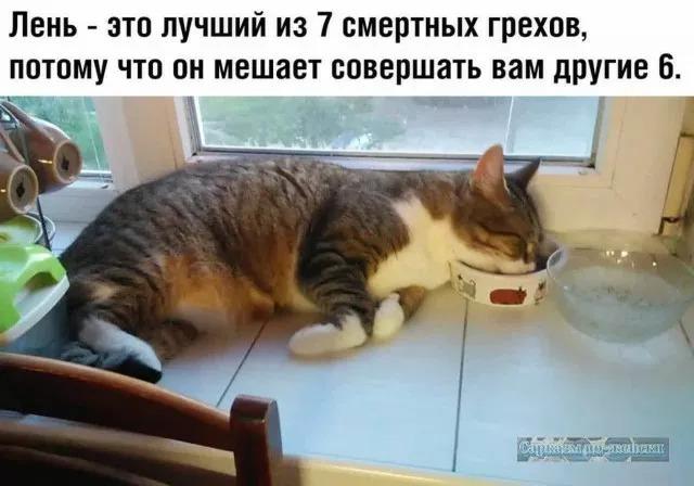 ������� ������� � ���� �� ���� (15 ����)