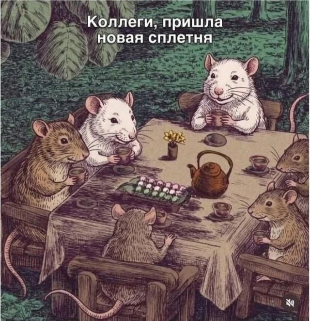 ������� ������� � ���� �� ���� (15 ����)