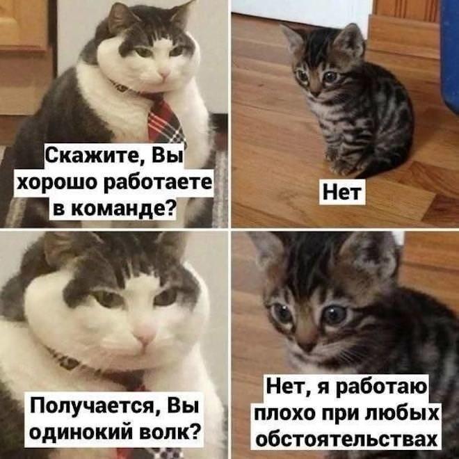 ������� ������� � ���� �� ���� (15 ����)