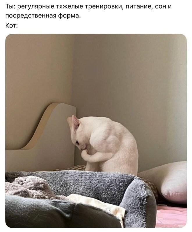 ������� ������� � ���� �� ���� (15 ����)