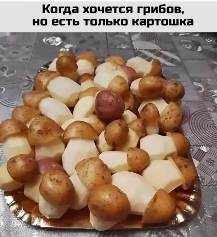 ������� ������� � ���� �� ���� (15 ����)