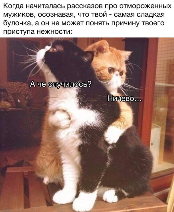 ������� ������� � ���� �� ���� (15 ����)