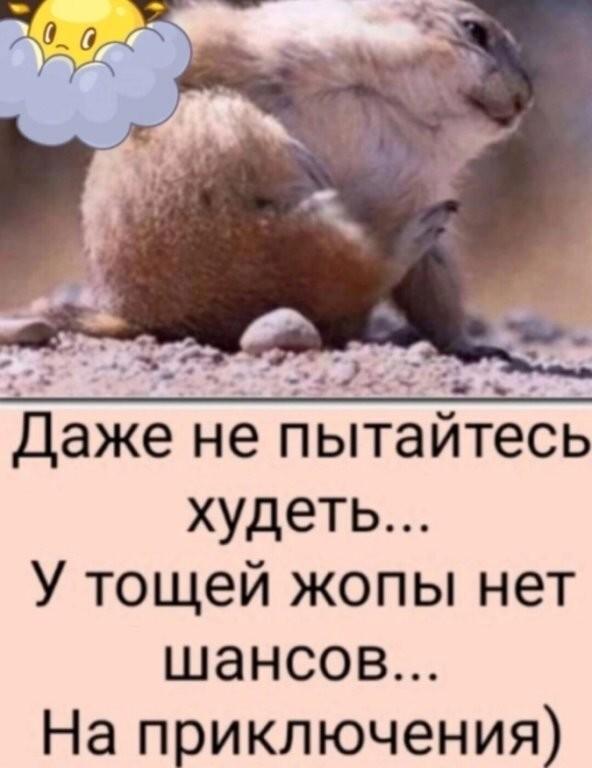 ������� ������� � ���� �� ���� (15 ����)