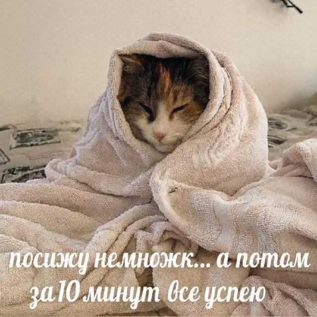 �������� �������� ��� ��������� ���������� (30 ����)
