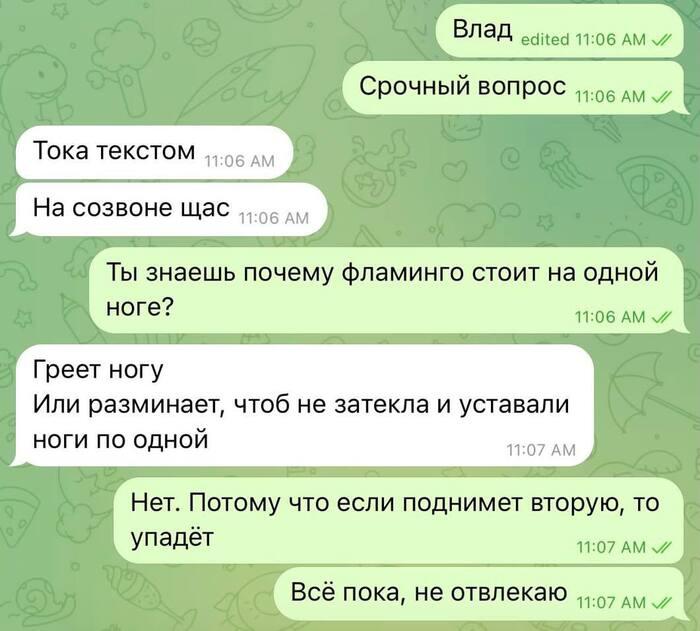 �������� ��������� (13 ����)