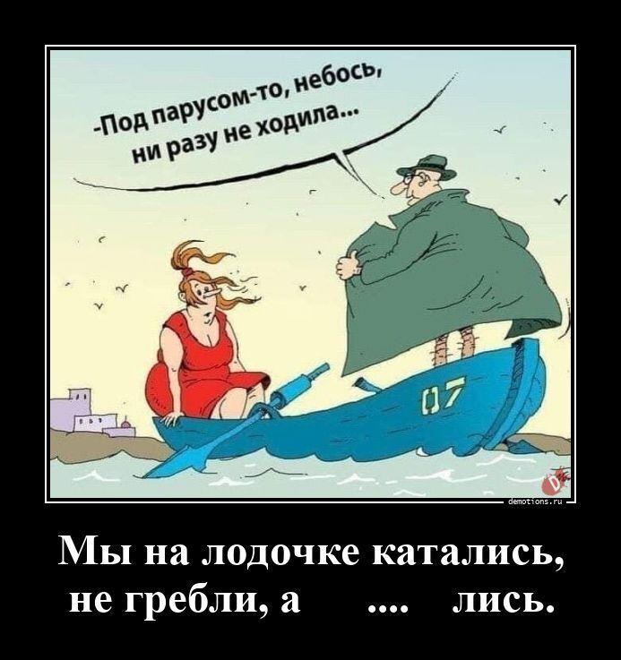 ������������ �������� (20 ����)