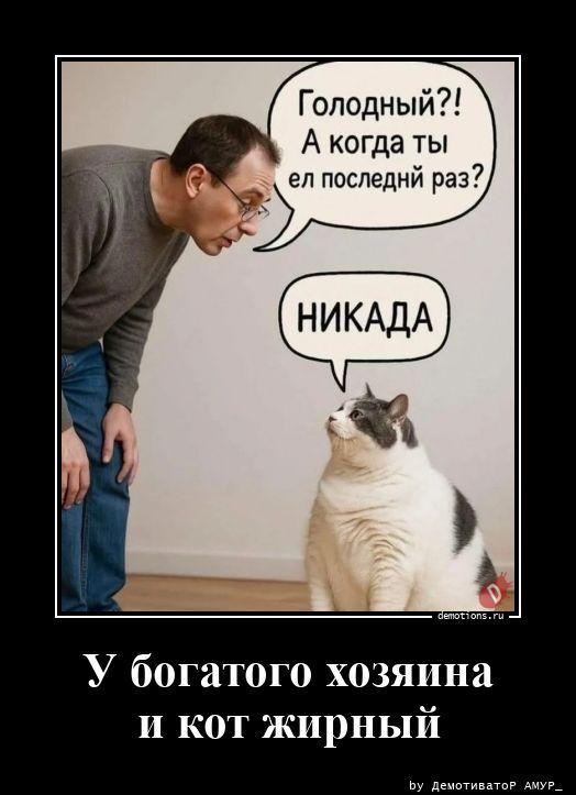 ������������ �������� (20 ����)