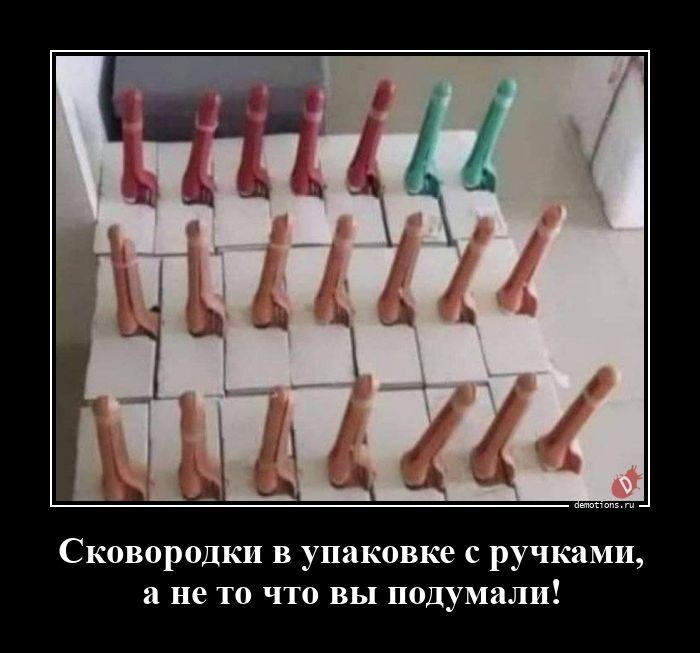 ������������ �������� (20 ����)