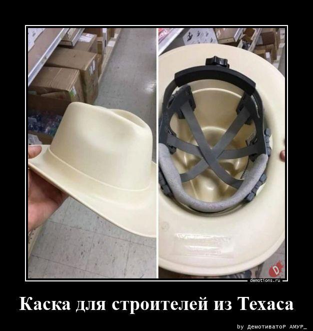 ������������ �������� (20 ����)