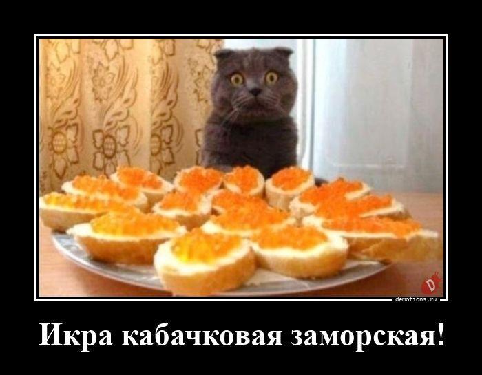 ������������ �������� (20 ����)