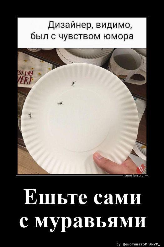 ������������ �������� (20 ����)