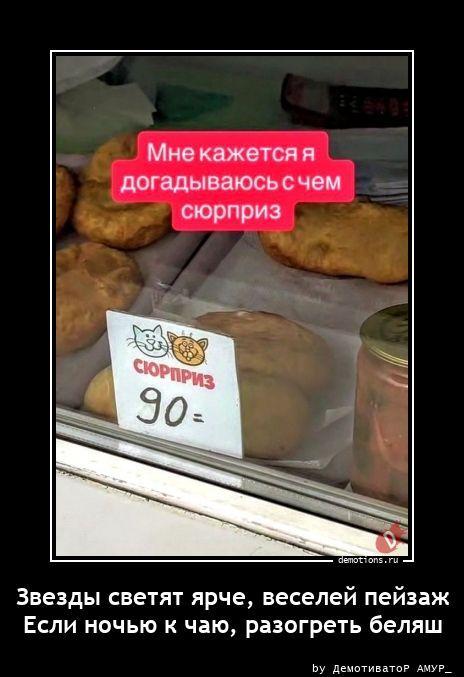 ������������ �������� (20 ����)
