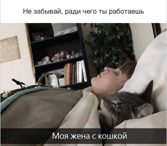 ���� � ������� �� ���� (30 ����)