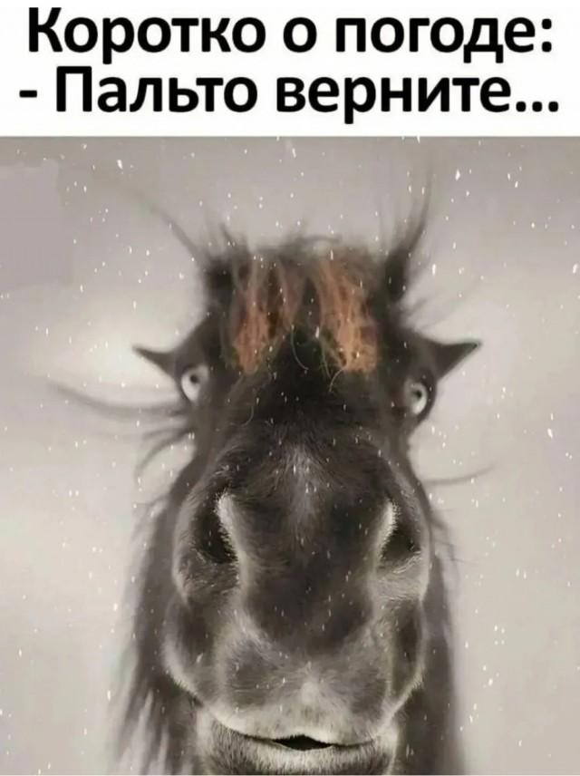 ���������! ������ ���� � ������� ��� ��������� ���������� (26 ����)