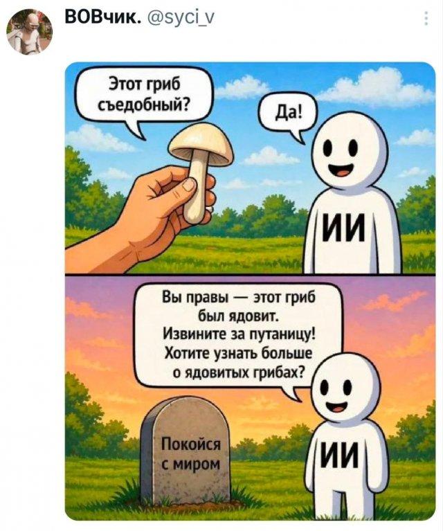 ���� �� �������� (15 ����)