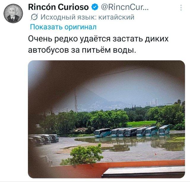 ���� �� �������� (15 ����)