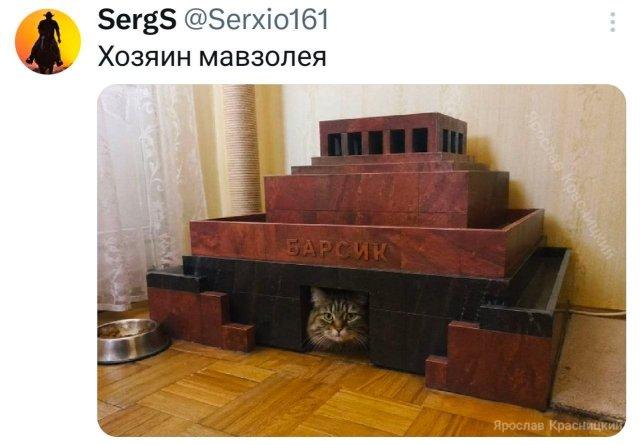 ���� �� �������� (15 ����)