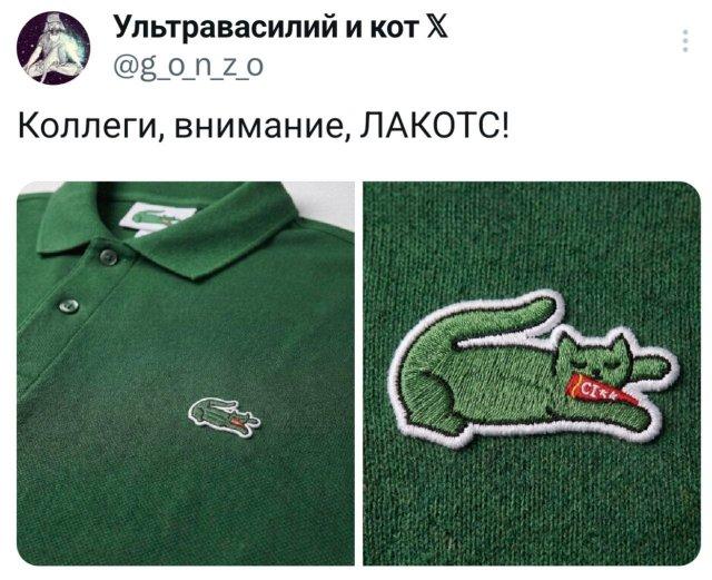���� �� �������� (15 ����)