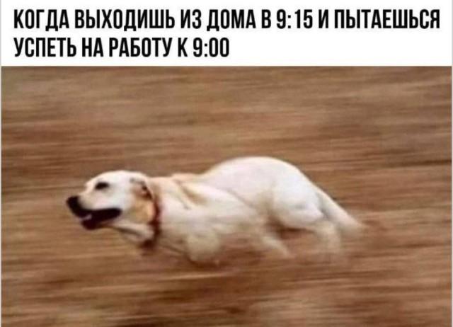 �������� �������� ��� ���������� (26 ����)