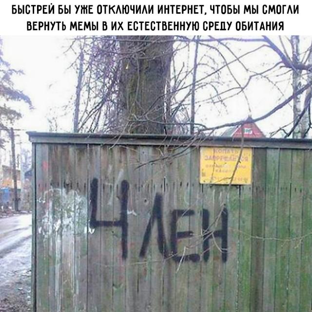 �������� ������ �������� � ����� �� ���� (30 ����)
