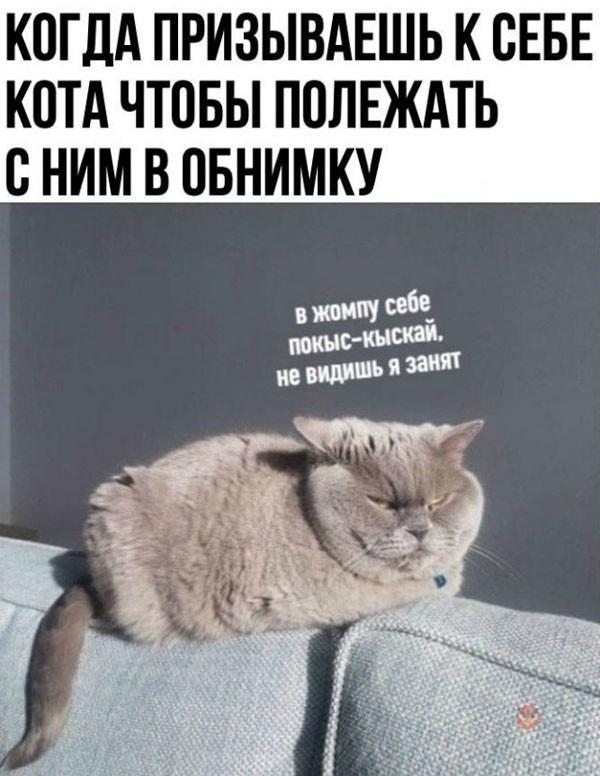 �������� ������ �������� � ����� �� ���� (30 ����)