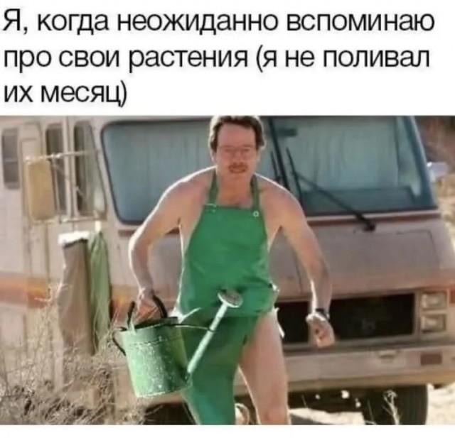 �������� ������ �������� � ����� �� ���� (30 ����)
