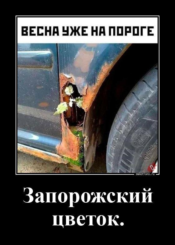 ������������ �������� (20 ����)